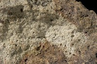 矽化安山岩藏品圖，第6張